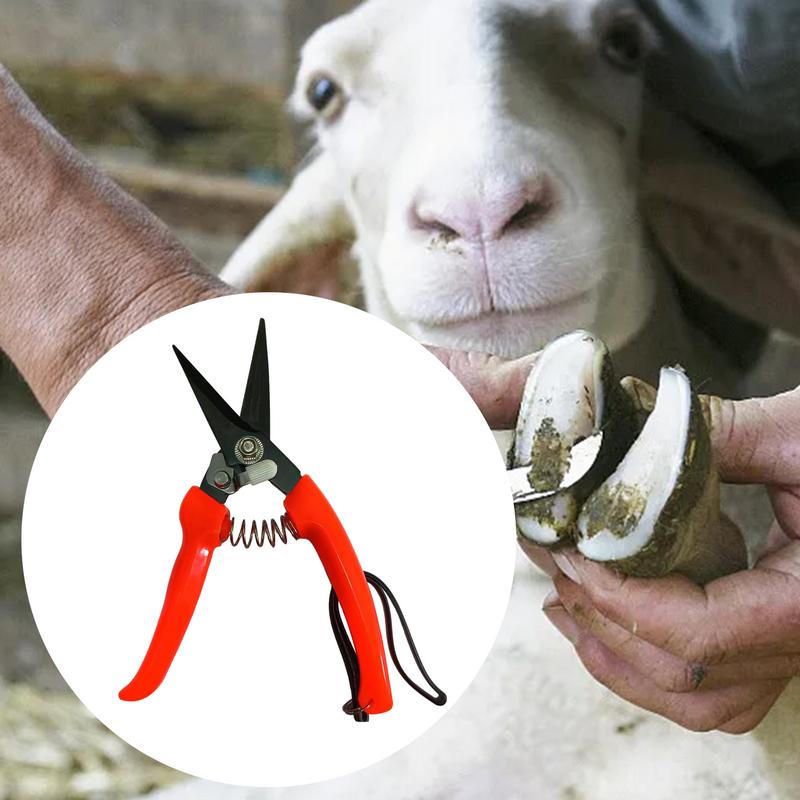 Pemangkas Kuku Domba Gunting P - Woodworking Horse ulasan dan harga