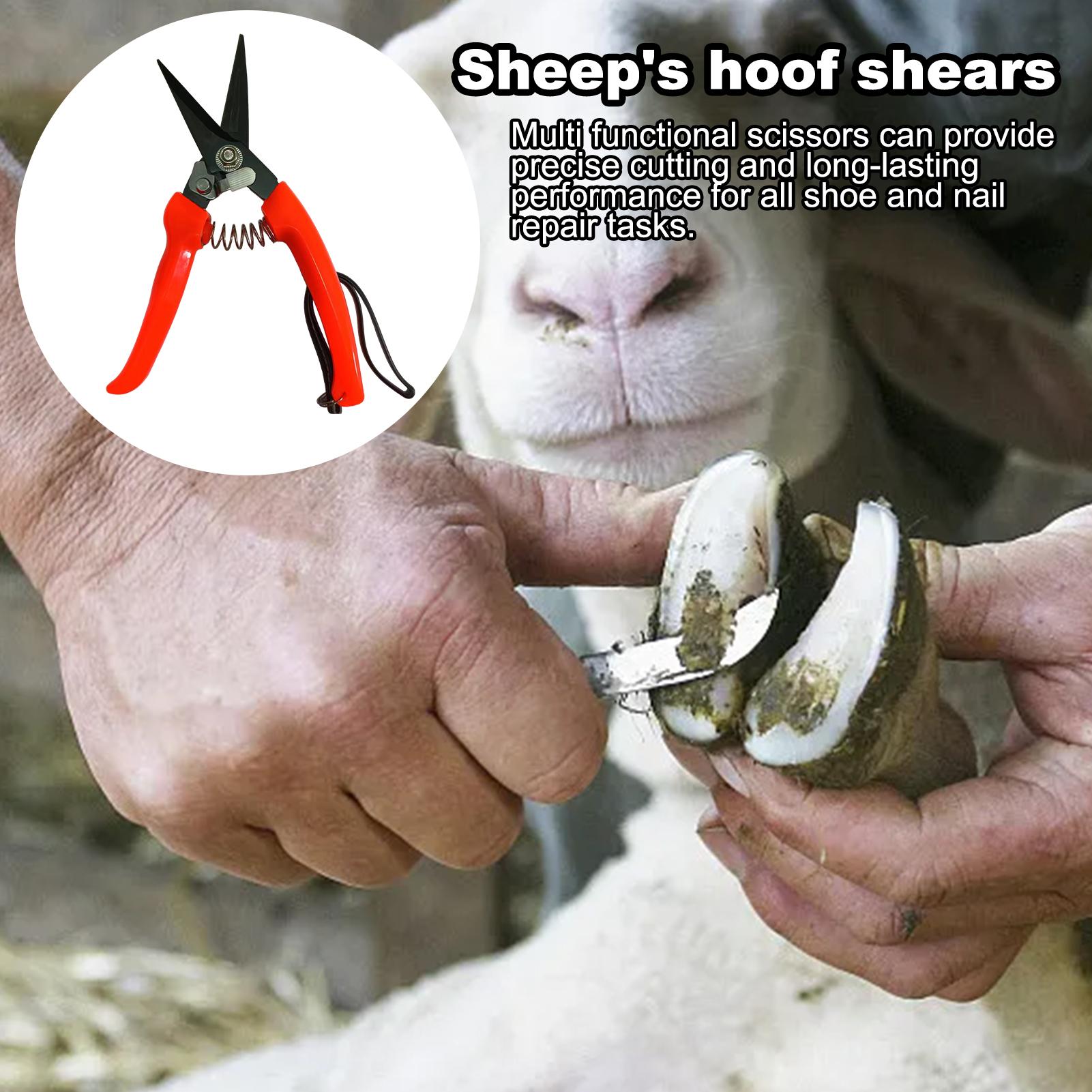 Pemotong Kuku Kambing Ergonomi - Woodworking Horse ulasan dan harga