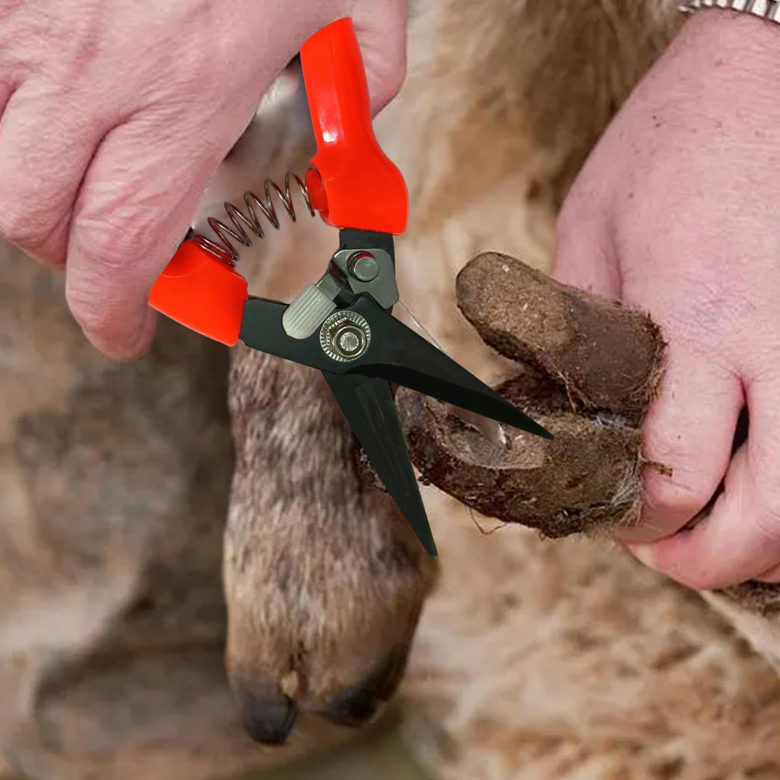 Pemotong Kuku Kambing Ergonomi - Woodworking Horse ulasan dan harga