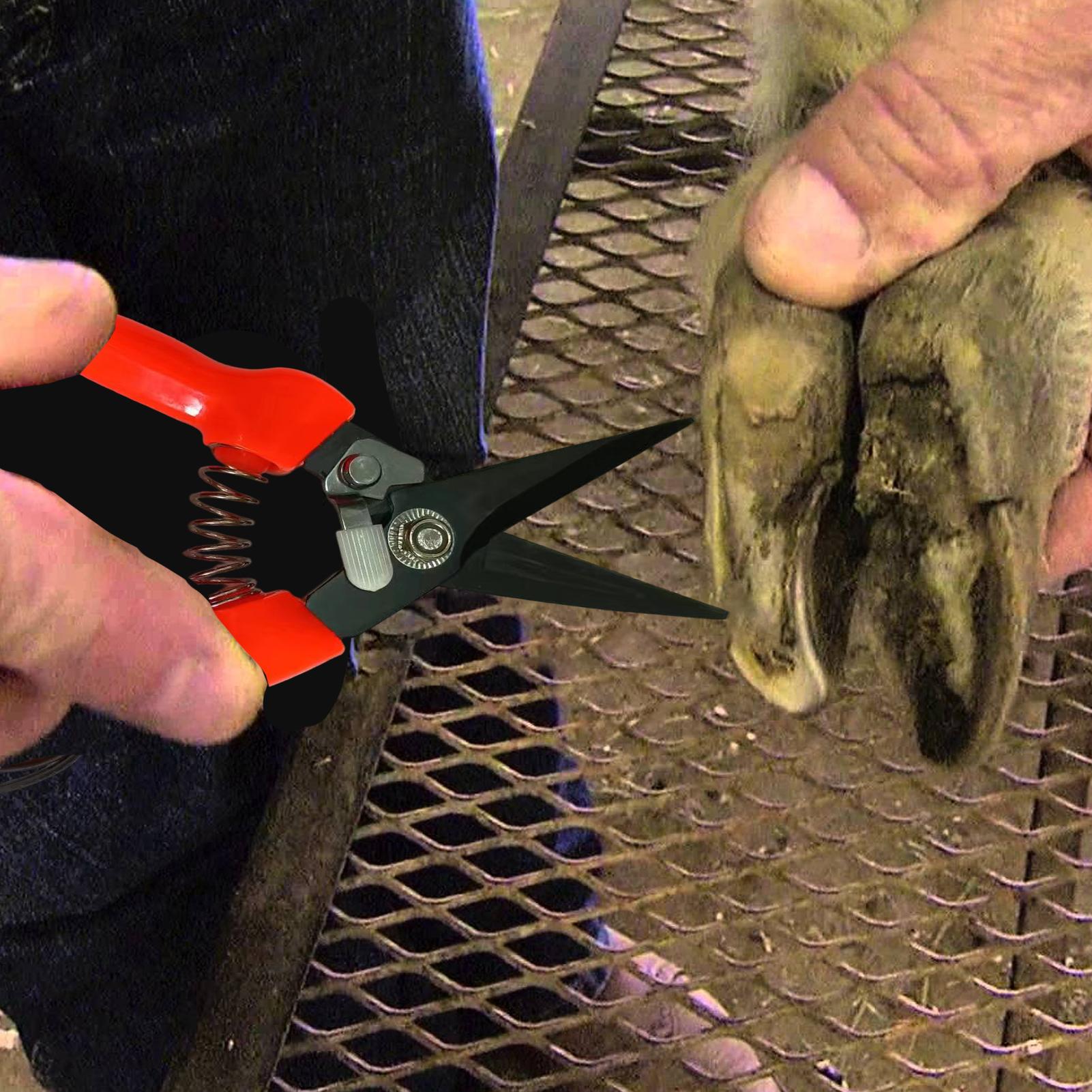 Pemotong Kuku Kambing Ergonomi - Woodworking Horse ulasan dan harga